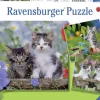 Ravensburger - Legpuzzel - Jonge Katjes - 3x49 stukjes