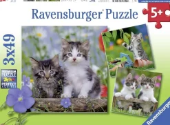 Ravensburger - Legpuzzel - Jonge Katjes - 3x49 stukjes
