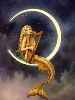 Schmidt - Legpuzzel - Nachtmuziek - 1000 stukjes