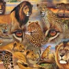 SunsOut - Legpuzzel - Big Cats of the Plains - 500 stukjes