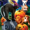 SunsOut - Legpuzzel - Halloween - Don't Mess with Kitty - 300 XL stukjes