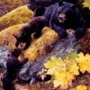 SunsOut - Legpuzzel - Nosing Around - 1000 stukjes