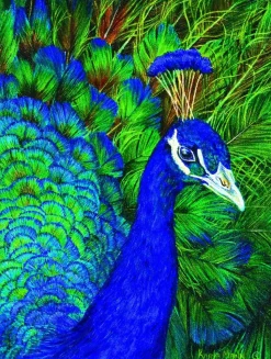 SunsOut - Legpuzzel - Peacock - 1000 stukjes