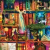SunsOut - Legpuzzel - Treasure Hunt Bookshelf - 1000 stukjes