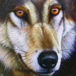 SunsOut - Legpuzzel - Wolfgezicht - 1000 stukjes