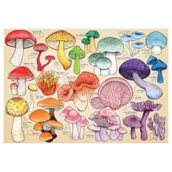The House of Puzzles - Legpuzzel - Mushroom Mania - 1000 stukjes