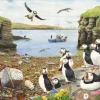 The House of Puzzles - Legpuzzel - Puffin Parade - 500 XL stukjes