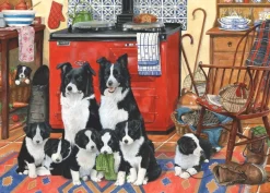 The House of Puzzles - Legpuzzel - Meet the Family - 1000 stukjes