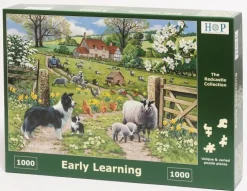 The House of Puzzles - Legpuzzel - Early Learning - 1000 stukjes