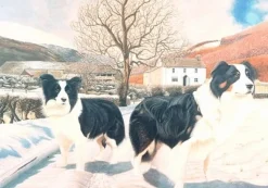 The House of Puzzles - Legpuzzel - Border Watch - 500 stukjes