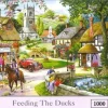 The House of Puzzles - Legpuzzel - Feeding the Ducks - 1000 stukjes