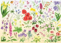 The House of Puzzles - Legpuzzel - Wildflowers - 1000 stukjes
