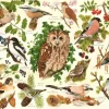 The House of Puzzles - Legpuzzel - Woodland Birds - 500XL stukjes